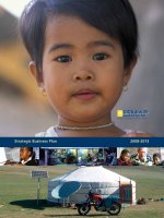 Strategic Business Plan 2008-2013 pdf