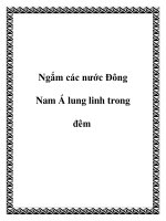 Ngắm các nước Đông Nam Á lung linh trong đêm doc