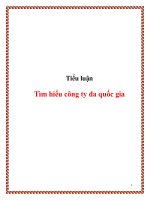 tiểu luận tìm hiểu công ty đa quốc gia