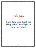 Tiểu luận: Chiến lược kinh doanh của Hãng phim Thiên Ngân và Cụm rạp Galaxy pdf