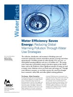 Water Efficiency Saves Energy: Reducing Global Warming Pollution Through Water Use Strategies pot
