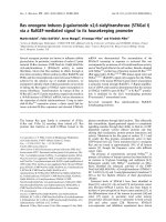 Báo cáo khoa học: Ras oncogene induces b-galactoside a2,6-sialyltransferase (ST6Gal I) via a RalGEF-mediated signal to its housekeeping promoter pptx