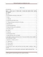Tiểu luận Công nghệ sản xuất phân bón vi sinh pdf