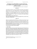 SỬ DỤNG CÁC CHỈ SỐ ĐỘNG VẬT ĐÁY ĐÁNH GIÁ SỰ Ô NHIỄM NƯỚC Ở RẠCH TẦM BÓT, LONG XUYÊN, TỈNH AN GIANG pptx