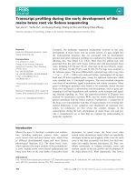 Báo cáo khoa học: Transcript proﬁling during the early development of the maize brace root via Solexa sequencing pot