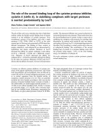 Báo cáo Y học: The role of the second binding loop of the cysteine protease inhibitor, cystatin A (steﬁn A), in stabilizing complexes with target proteases is exerted predominantly by Leu73 pdf