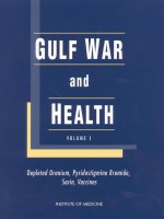 Gulf War and Health Volume 1. Depleted Uranium, Sarin, Pyridostigmine Bromide, Vaccines pot