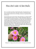 Hoa chơi xuân và làm thuốc ppt