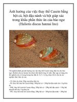 Ảnh hưởng của việc thay thế Casein bằng bột cá, bột đậu nành và bột giáp xác trong khẩu phần thức ăn của bào ngư (Haliotis discus hannai Ino) pot