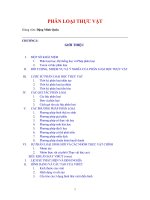 Phân loại thực vật