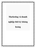 Marketing và doanh nghiệp thời kỳ khủng hoảng pptx