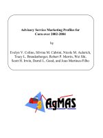 Advisory Service Marketing Profiles for Corn over 2002-2004 pptx