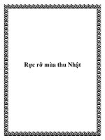 Rực rỡ mùa thu Nhật docx