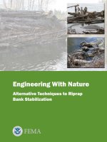 Engineering With Nature - Alternative Techniques to Riprap Bank Stabilization docx