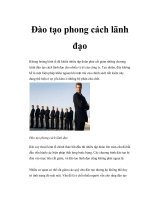 Đào tạo phong cách lãnh đạo pot