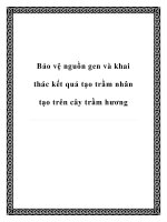 Bảo vệ nguồn gen và khai thác kết quả tạo trầm nhân tạo trên cây trầm hương ppt