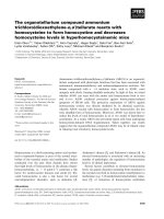 Báo cáo khoa học: The organotellurium compound ammonium trichloro(dioxoethylene-o,o¢)tellurate reacts with homocysteine to form homocystine and decreases homocysteine levels in hyperhomocysteinemic mice pptx