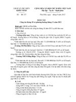 Báo cao THANG 10 nam 2012 pot