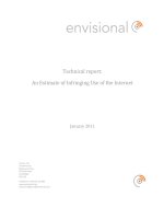 Technical report: An Estimate of Infringing Use of the Internet docx