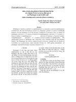 Khảo sát khả năng phòng trừ bệnh thối nhũn Địa lan do vi khuẩn Erwinia carotovora Holl. gây ra của Plumbagin và một số dẫn xuất pot
