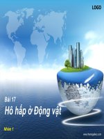 Bài 17 Hô hấp ở động vật pptx