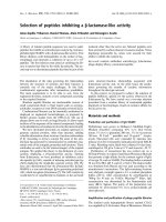 Báo cáo khoa học: Selection of peptides inhibiting a b-lactamase-like activity docx