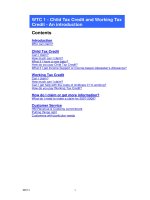 WTC 1 - Child Tax Credit and Working Tax Credit - An introduction pdf