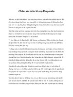 Chăm sóc trâu bò vụ đông-xuân pptx