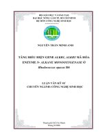 TĂNG BIỂU HIỆN GENE ALKB1, ALKB2 MÃ HÓA ENZYME N- ALKANE MONOOXYGENASE Ở Rhodococcus opacus B4 docx