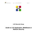 Guide to LCG Application, Middleware & Network Security doc