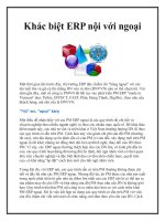 Khác biệt ERP nội với ngoại doc