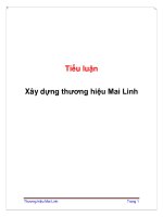 Tiểu luận :Xây dựng thương hiệu Mai Linh pptx