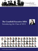The Cranfield Executive MBA Introducing the Class of 2012 pptx