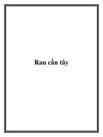 Rau cần tây pdf
