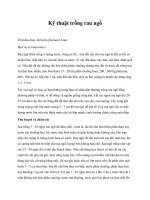 Kỹ thuật trồng rau ngổ pdf