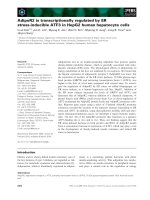 Báo cáo khoa học: AdipoR2 is transcriptionally regulated by ER stress-inducible ATF3 in HepG2 human hepatocyte cells pdf