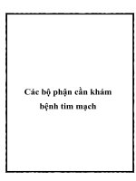 Các bộ phận cần khám bệnh tim mạch potx