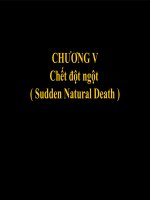 Chết đột ngột pptx