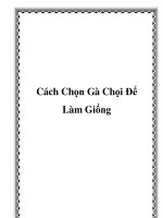 Cách Chọn Gà Chọi Để Làm Giống doc