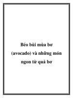 Béo bùi mùa bơ (avocado) và những món ngon từ quả bơ pot