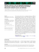 Báo cáo khoa học: Epitope analysis of the rat dipeptidyl peptidase IV monoclonal antibody 6A3 that blocks pericellular ﬁbronectin-mediated cancer cell adhesion pot