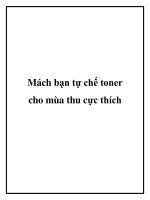 Mách bạn tự chế toner cho mùa thu cực thích potx