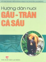 hướng dẫn gấu trăn cá sấu