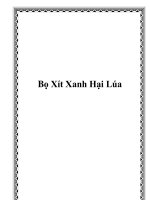Bọ Xít Xanh Hại Lúa ppt