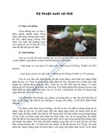 Kỹ thuật nuôi vịt thịt pdf