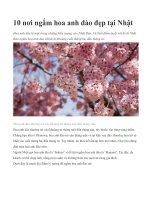 10 nơi ngắm hoa anh đào đẹp tại Nhật docx