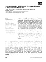 Báo cáo khoa học: Structural evidence for a constant c11 ring stoichiometry in the sodium F-ATP synthase doc