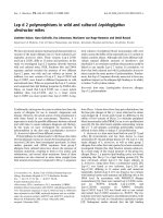 Báo cáo khoa học: Lep d 2 polymorphisms in wild and cultured Lepidoglyphus destructor mites pdf