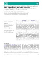 Báo cáo khoa học: Discriminating between the activities of human cathepsin G and chymase using ﬂuorogenic substrates potx