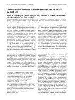 Báo cáo Y học: Complexation of ytterbium to human transferrin and its uptake by K562 cells pot